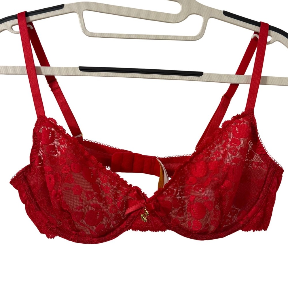 Playful‎ Promises x Squish Leomie Red Cherry Plunge Bra 34D Balconette Unlined